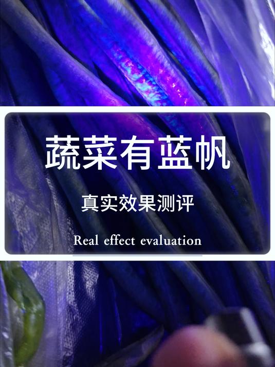 真实测评蔬菜上到底含不含蓝矾?(2)