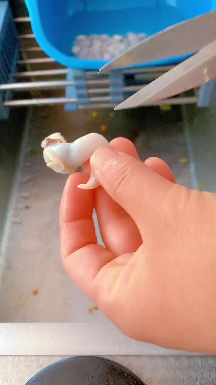 鸟贝肉真的超级好吃