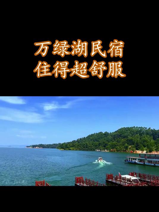 万绿湖旁边的民宿。环境真的没话说