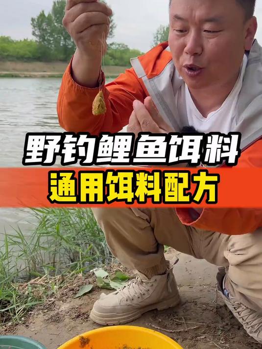 野钓鲤鱼饵料通用饵料配方