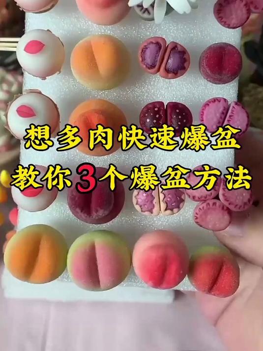 想多肉快速爆盆，教你 3 个爆盆方法