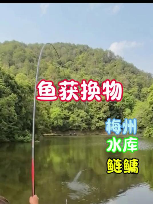 鱼获满满还能换点东西，以后钓鱼更好玩了