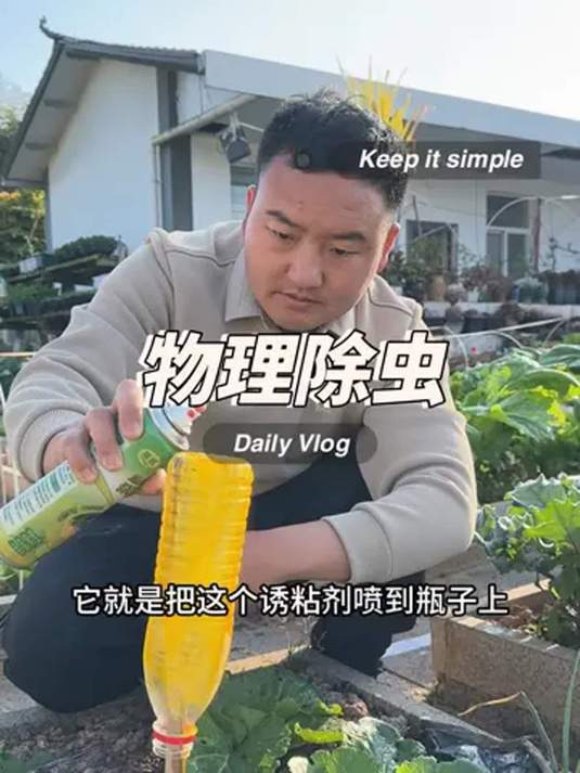 种菜怕虫不想打药?物理除虫法教你轻松搞定!