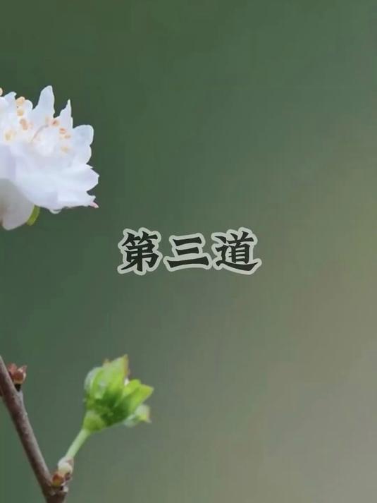 告别单调切面,波浪刀让美食颜值翻倍!