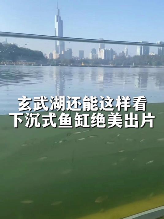 玄武湖还能这样看！下沉式大鱼缸绝美出片