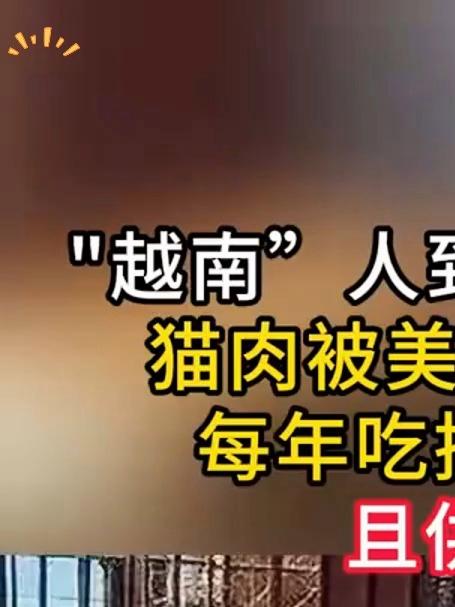 越南人到底有多爱吃猫猫肉,每年吃掉近500万只且供不应求