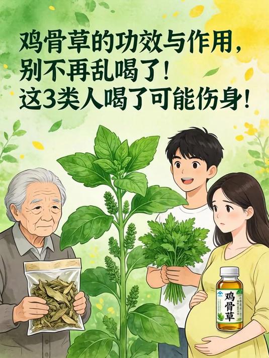 鸡骨草的功效与作用,别再乱喝了!这3类人喝了可能伤身!