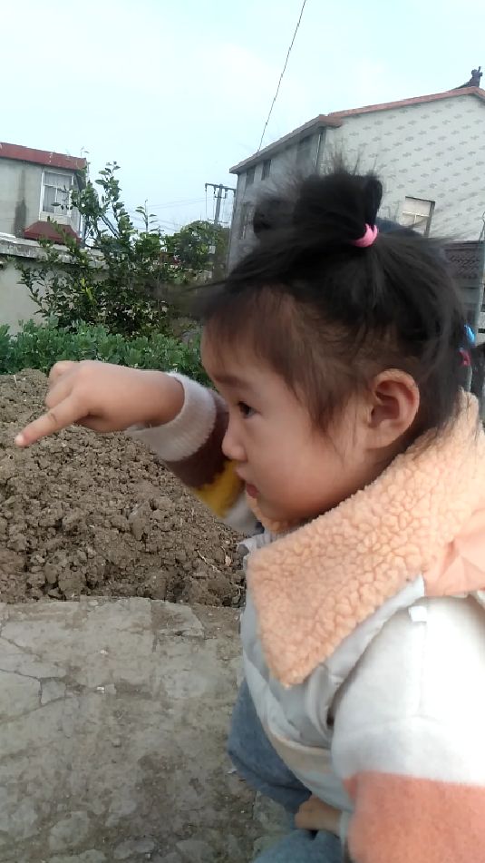 小可爱学公鸡叫