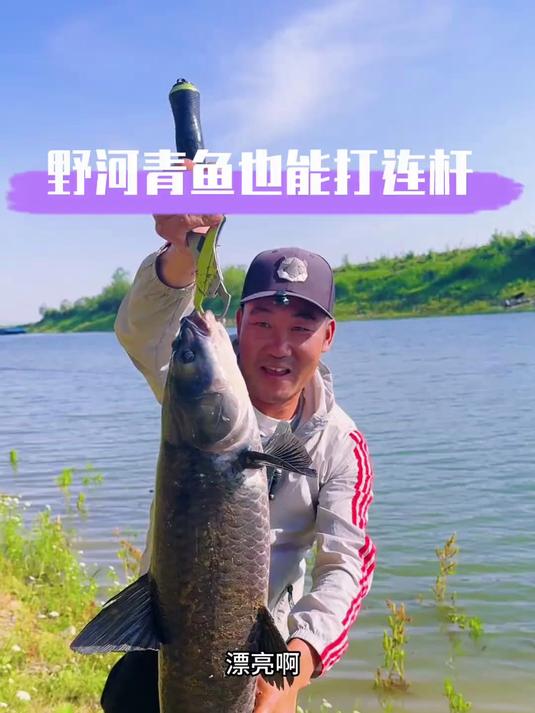根据鱼情水情选对合适的钓法 野河也能青鱼草鱼打连杆