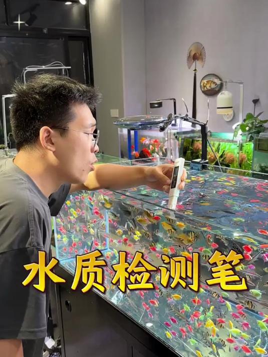 不管是你平常喝的水,还是检查鱼缸的水质,都少不了它!