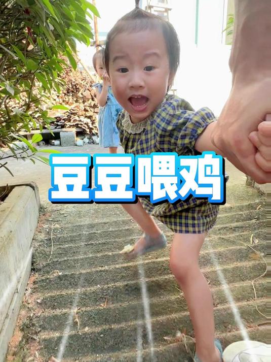 哈哈太搞笑了！原来豆豆怕鸡呀！小鸡那么可爱为什么有人会害怕？