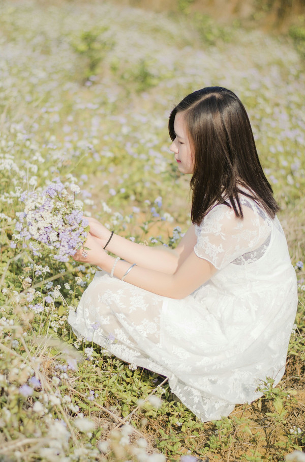 图片[11]-花儿朵朵开-六色网