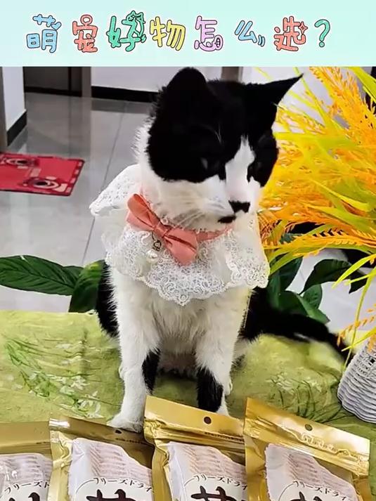 地狱厨房鳕鱼冻干,金标品质保证,宠物健康零食首选!