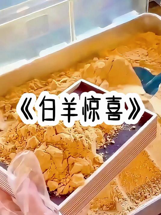 白羊惊喜