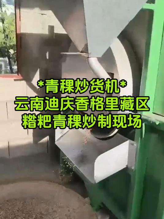 香格里拉青稞炒货机现场炒制 省时省力