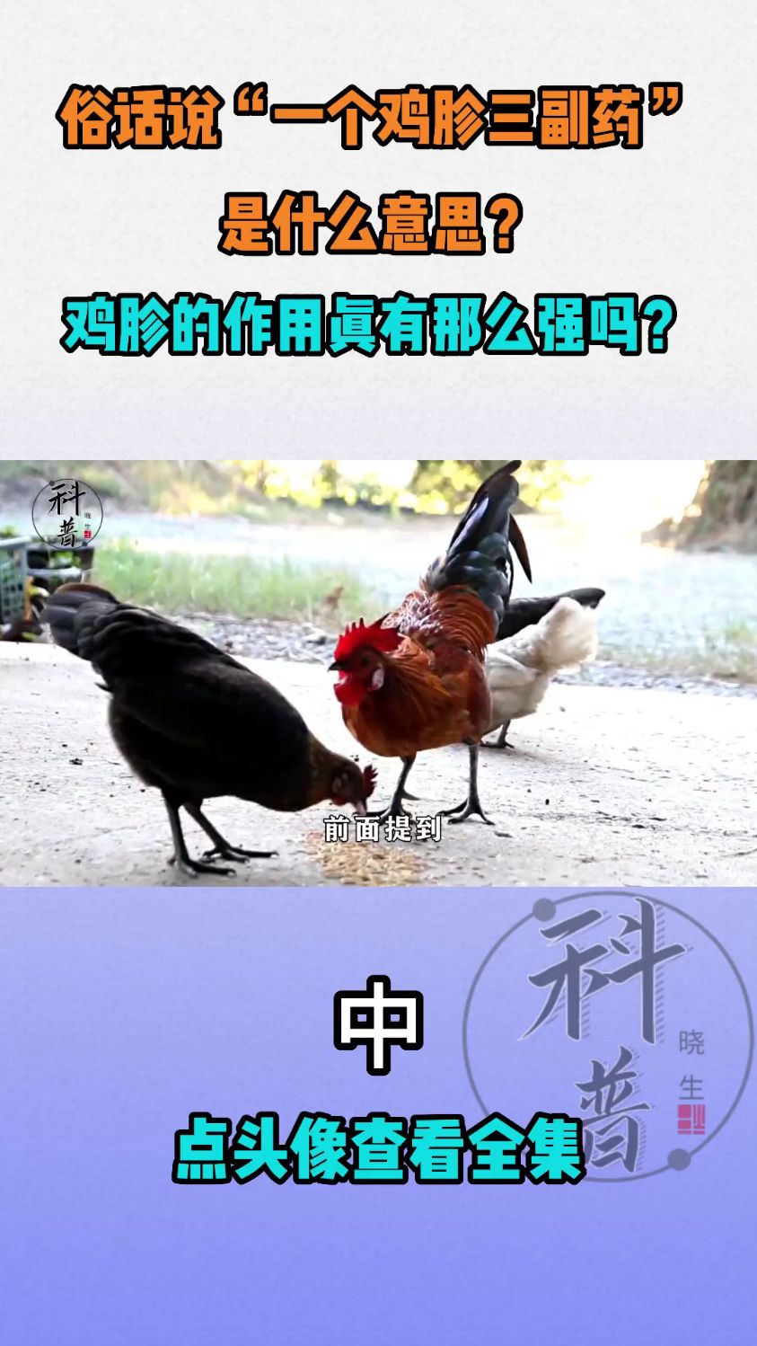 2.俗话说“一个鸡胗三副药”,是什么意思?鸡胗的作用真有那么强吗?