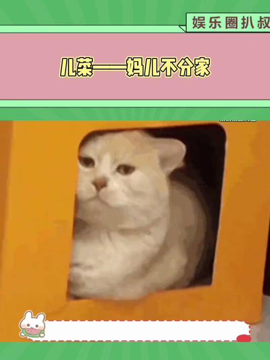 儿菜——妈儿不分家