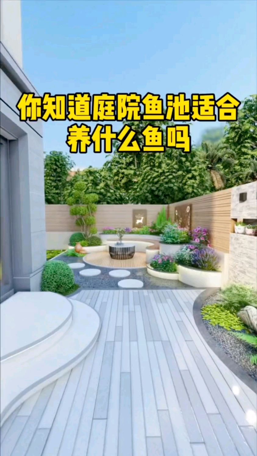 鱼池中养什么鱼比较好,这些知识你知道吗