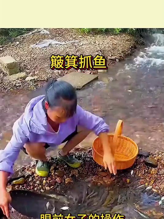 簸箕抓鱼，那真是随手可得