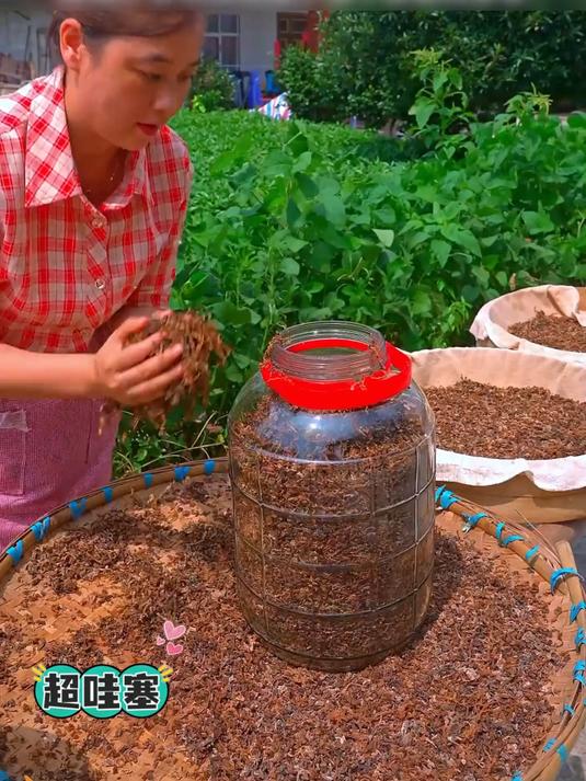 这么好品质的梅干菜真的很难遇到打开就闻到一种浓浓的香味