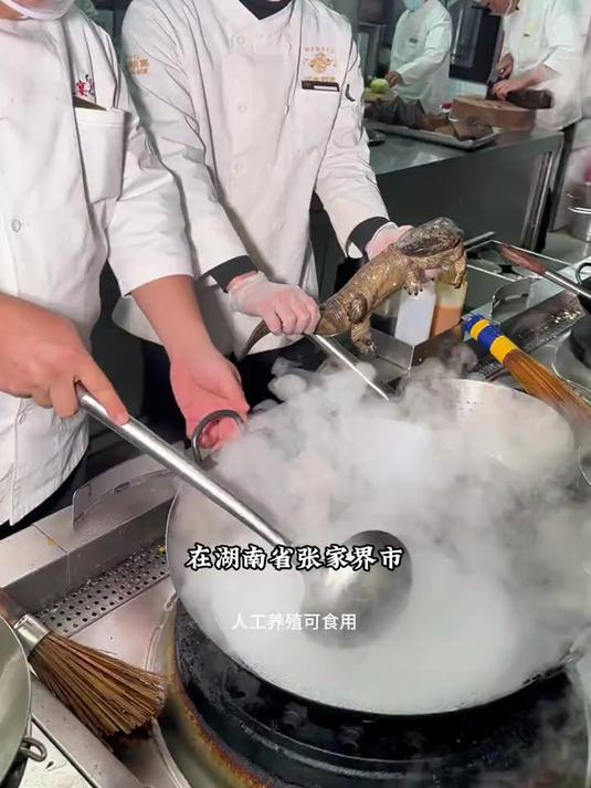 张家界娃娃鱼五吃 张家界地标特色美食,娃娃鱼五吃