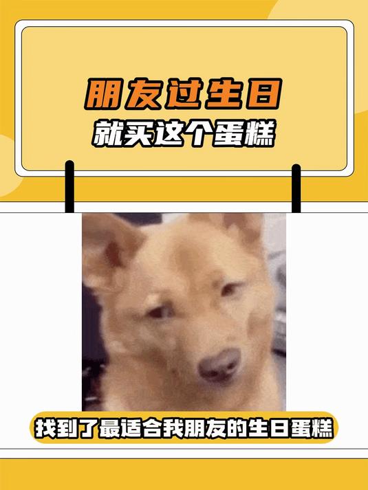 朋友,这回是真有让你走狗屎运的蛋糕啦!