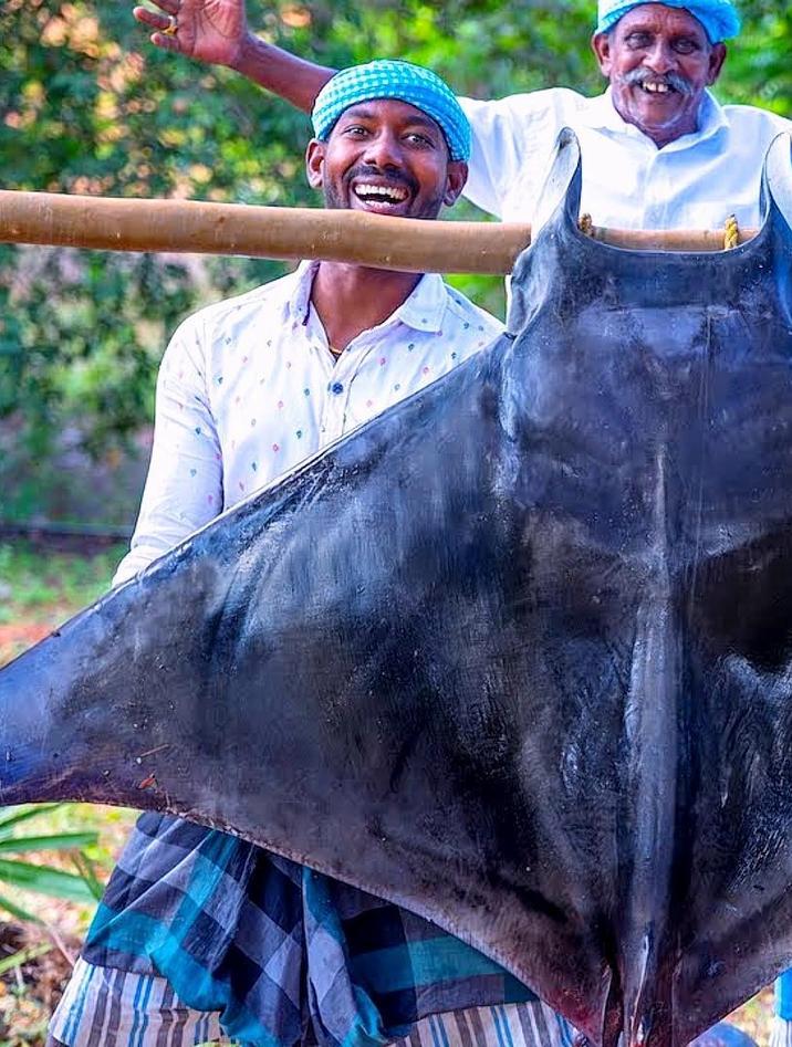 你知道这是什么鱼吗？看印度人都是如何处理这种长相怪异的大鱼