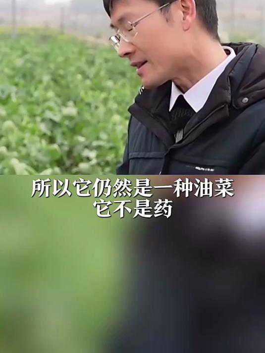 “板蓝根青菜”火了 它能当药吃吗?