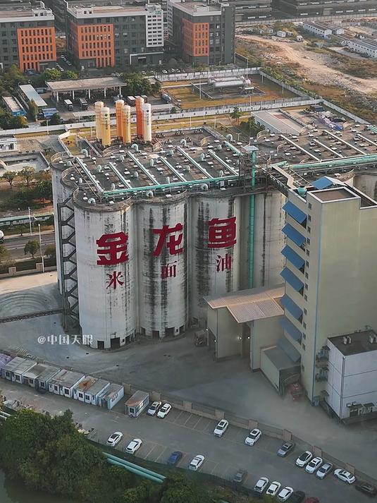 外资背景的食用油巨头金龙鱼怎么了,公司净利润连续三年下滑