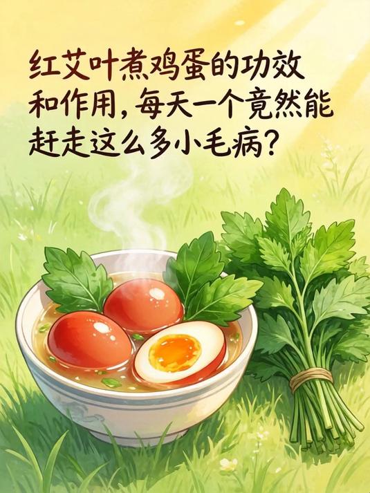 红艾叶煮鸡蛋的功效和作用,每天一个竟然能赶走这么多小毛病?