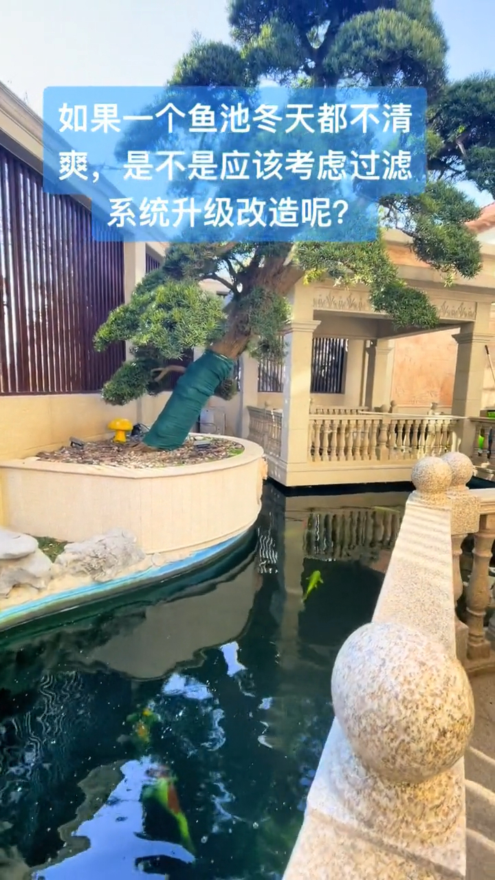 如果一个鱼池冬天水质都不清爽,是不是应该考虑一下升级改造过滤系统呢?