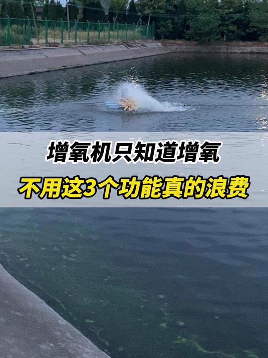 增氧机只知道增氧，不用这3个功能真的浪费