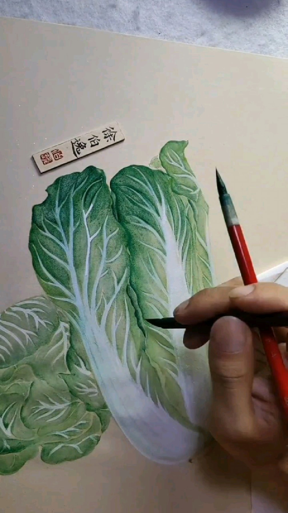 画简简单单的白菜