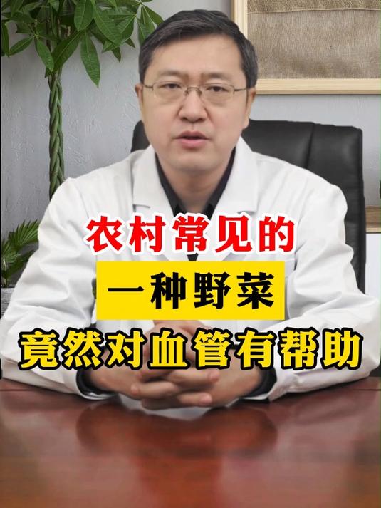 农村常见的一种野菜 竟然对血管有帮助