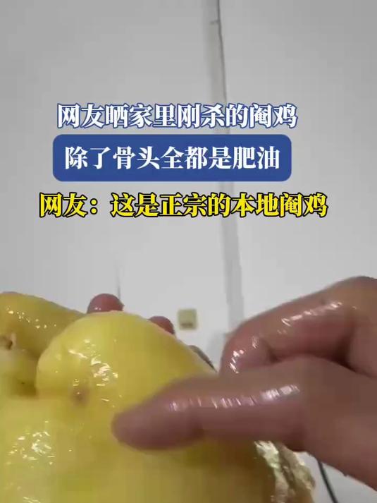 网友晒家里刚杀的阉鸡,除了骨头全都是肥油