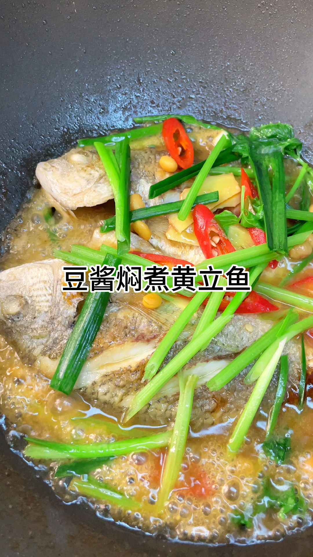 做法简单的豆酱焖煮黄立鱼,肉质鲜嫩好吃入味,家常做法简单好吃