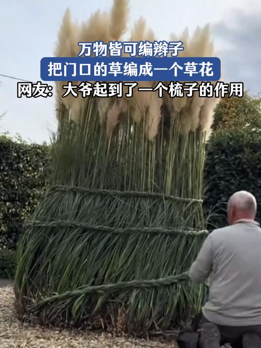 万物皆可编辫子，把门口的草编成草花