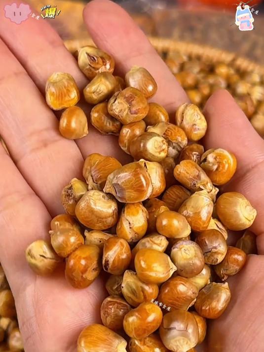 这款老式东北糯玉米哑巴豆子入口醇香酥脆又有嚼劲淡淡的玉米香