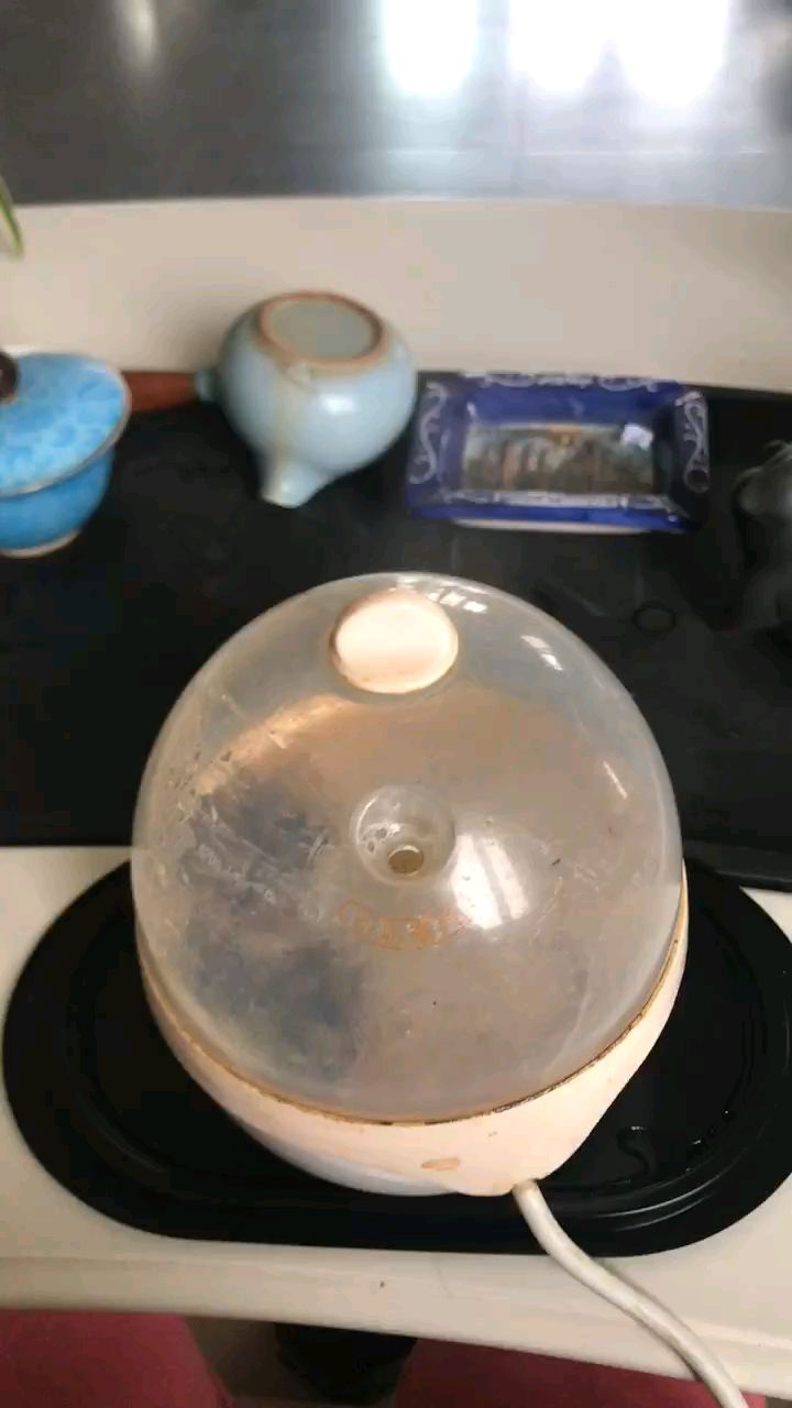 鹅不食草、辛夷花加带根葱白放蒸蛋器里煮,用喷出的蒸汽蒸熏脸部,可治鼻炎鼻塞防感冒