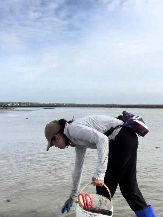 海水退去,看看住在洞里的皮皮虾是怎么抓的