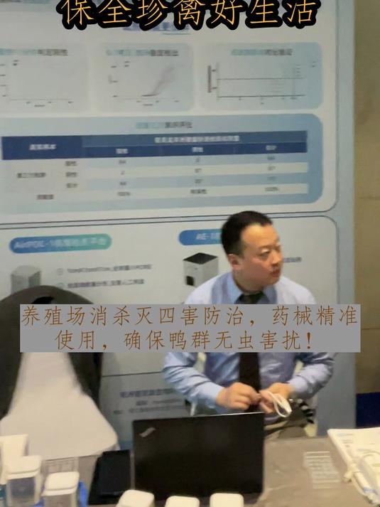 狐狸偷鸡,禽舍难宁,防狐之术真能确保家禽之安吗?