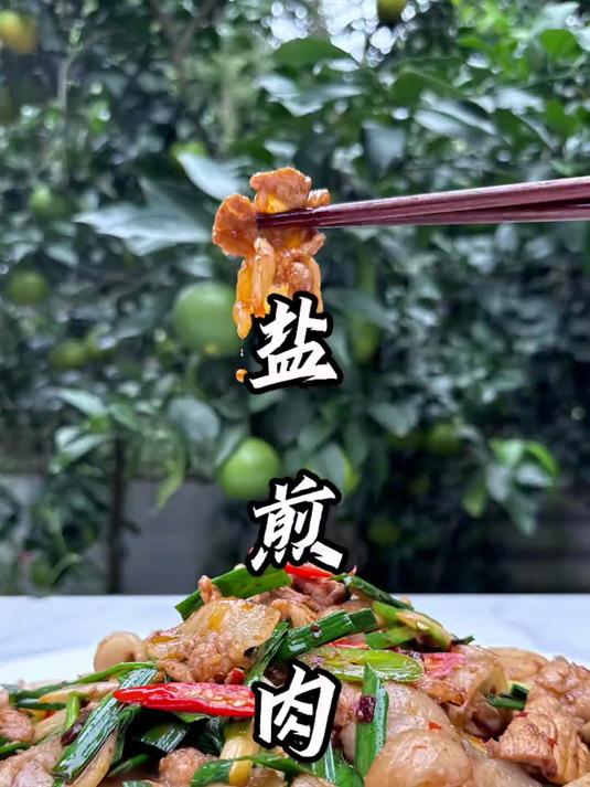 你们现在有人能够晓得,盐煎肉和回锅肉它的具体区别是啥子不