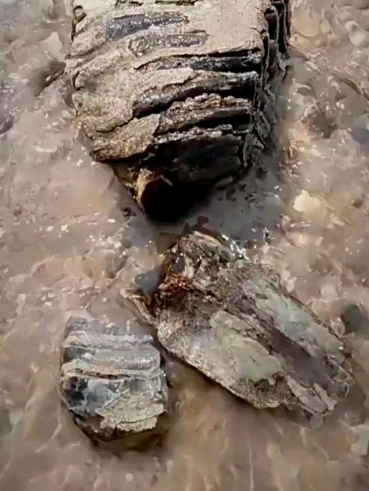 在捡石头的地方,猛犸象牙总是可以找到!