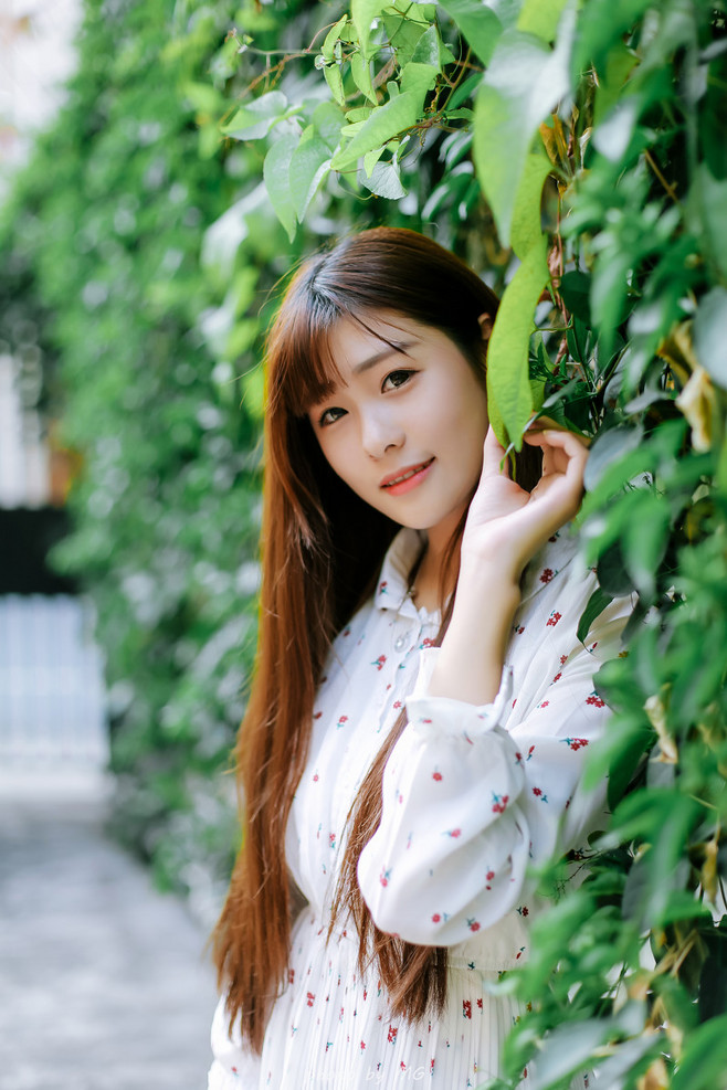 图片[26]-阡陌-六色网