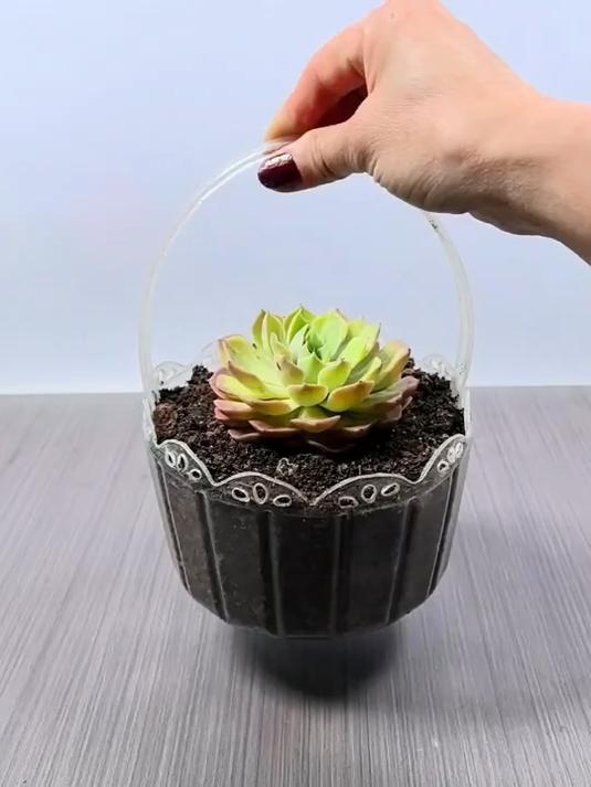 废弃的空油桶变废为宝制作花盆