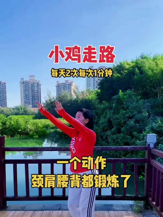 古法锻炼五禽戏小鸡走路