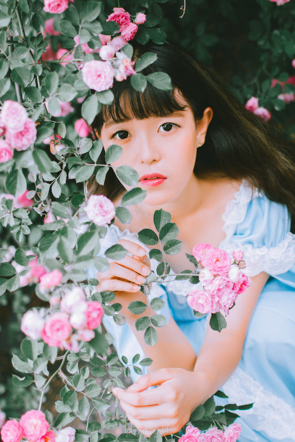 图片[2]-少女和蔷薇-六色网