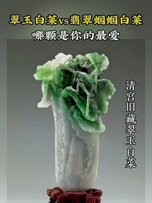 翠玉白莱vs翡翠蝈蝈白莱哪颗是你的最爱