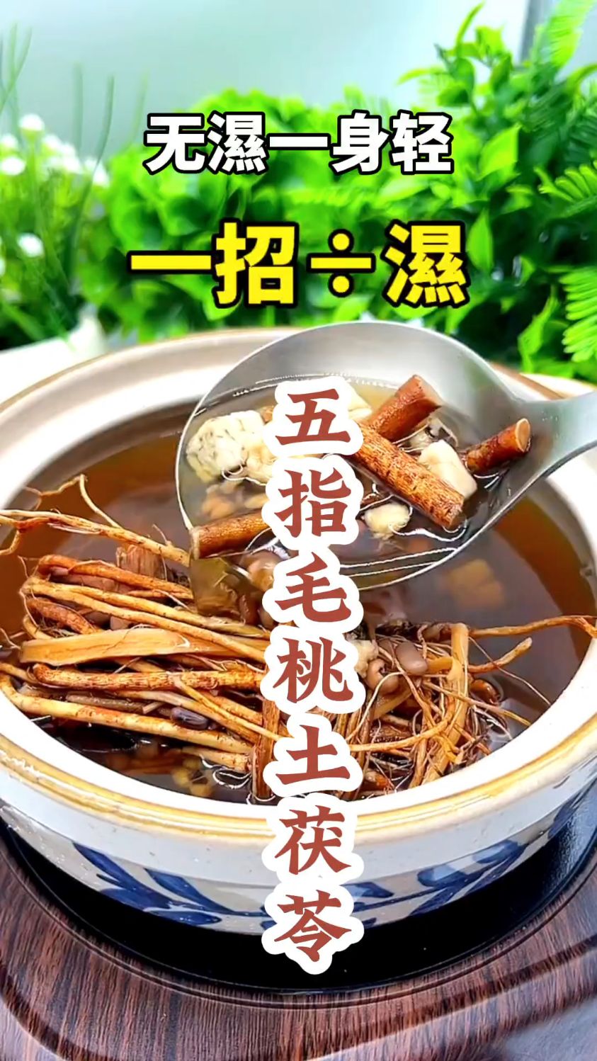 下雨天多安排这个除湿汤——五指毛桃土茯苓