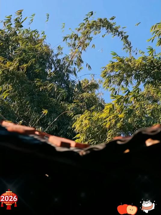 清代御膳房的必备小点心,乾隆慈禧都爱不释手的八珍糕